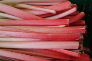 rhubarb, stalk, red-318217.jpg