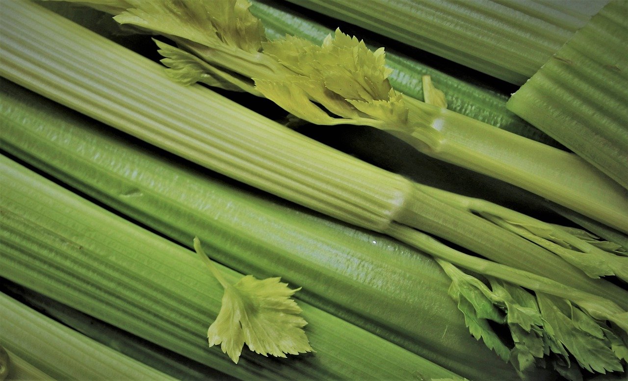 vitamins, a vegetable, celery-5048733.jpg
